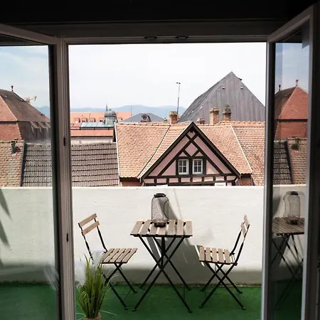 Apartament Mama With Aircon Including Parking 2 Cars Colmar