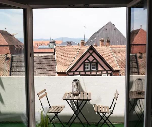 شقة Mama With Mobile Aircon, Including Free Parking Space At 300 Meters كولمار